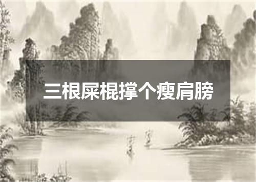 三根屎棍撑个瘦肩膀