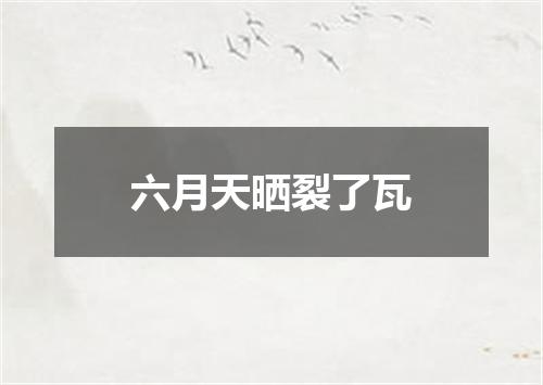 六月天晒裂了瓦