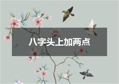 八字头上加两点