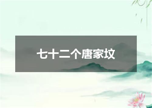 七十二个唐家坟
