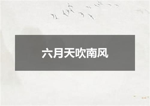 六月天吹南风