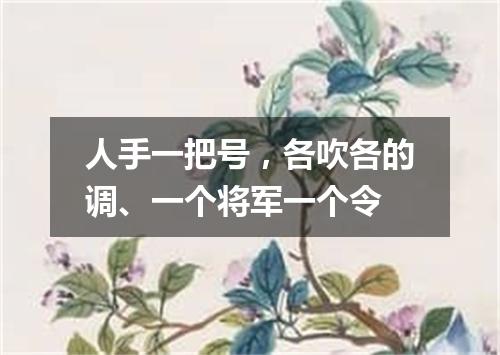 人手一把号，各吹各的调、一个将军一个令