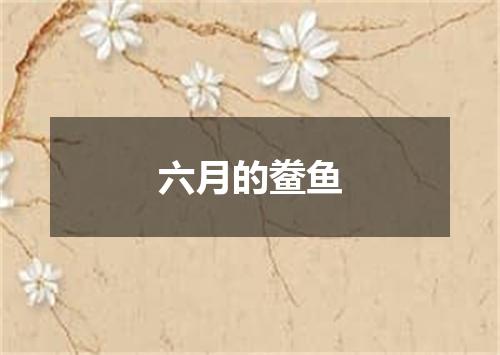 六月的鲞鱼