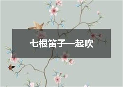 七根笛子一起吹