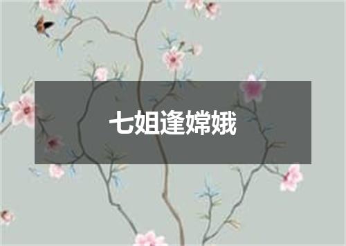 七姐逢嫦娥