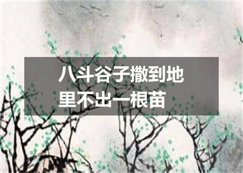八斗谷子撒到地里不出一根苗