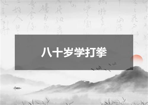 八十岁学打拳