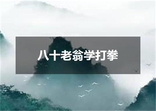 八十老翁学打拳