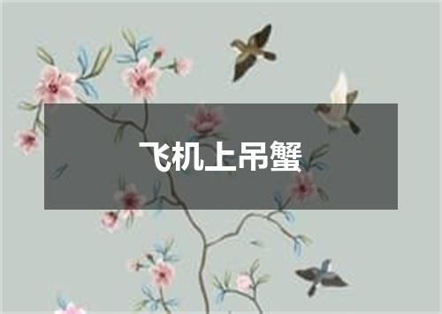 飞机上吊蟹