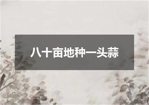 八十亩地种一头蒜