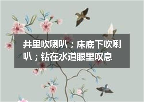 井里吹喇叭；床底下吹喇叭；钻在水道眼里叹息