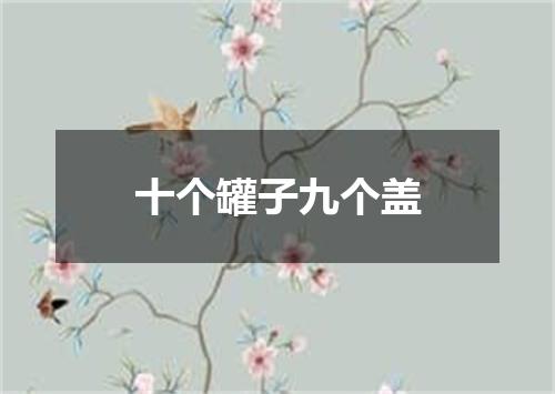 十个罐子九个盖