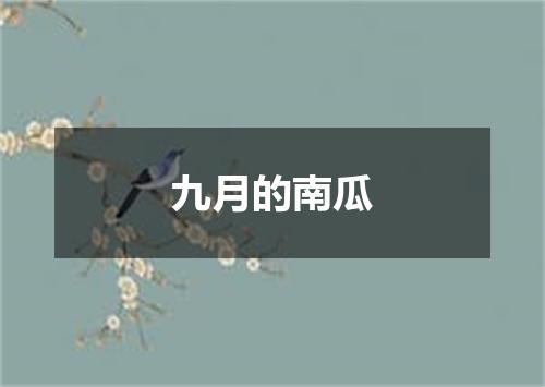 九月的南瓜