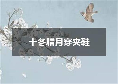 十冬腊月穿夹鞋