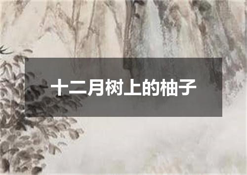 十二月树上的柚子
