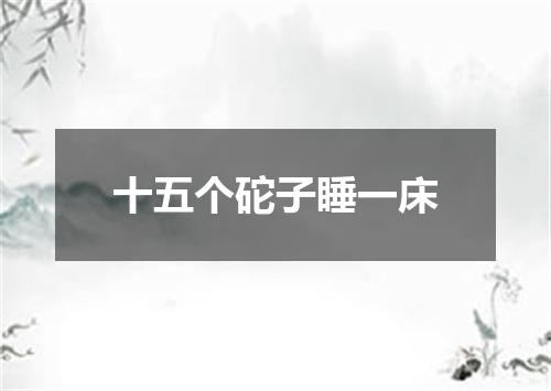 十五个砣子睡一床