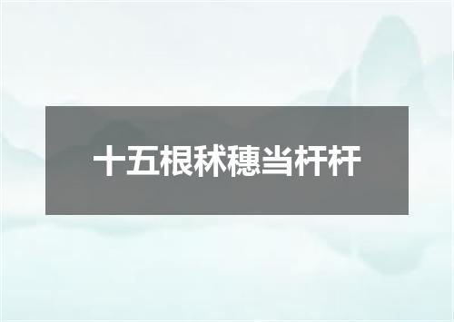 十五根秫穗当杆杆