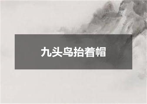 九头鸟抬着帽