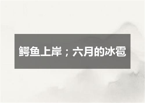 鳄鱼上岸；六月的冰雹