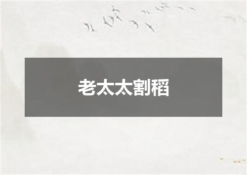 老太太割稻