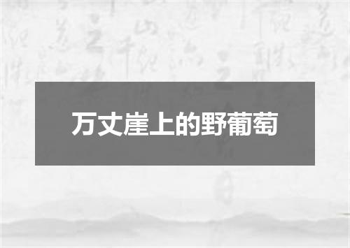 万丈崖上的野葡萄