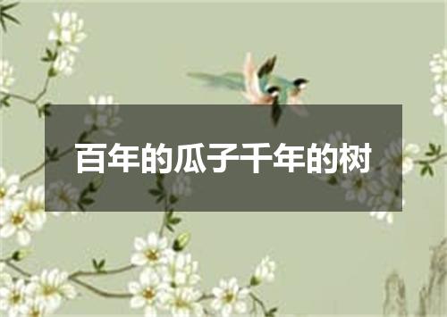 百年的瓜子千年的树