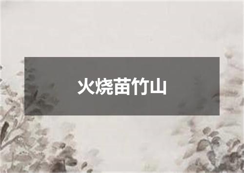 火烧苗竹山