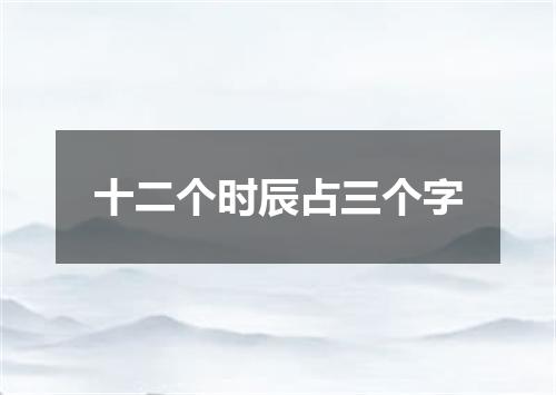 十二个时辰占三个字
