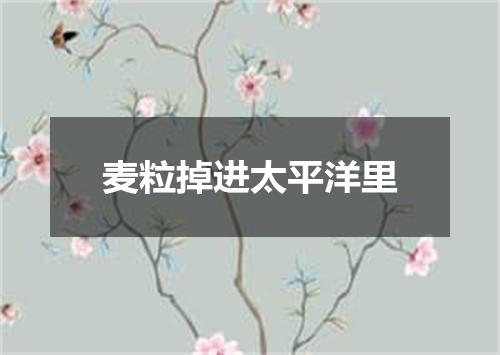 麦粒掉进太平洋里