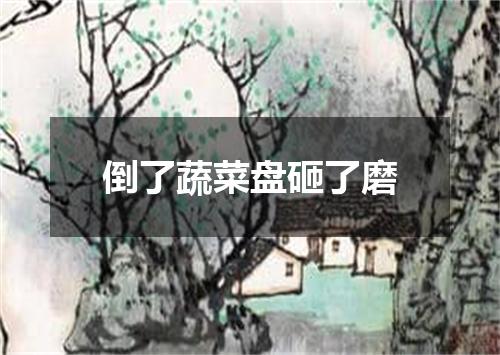 倒了蔬菜盘砸了磨