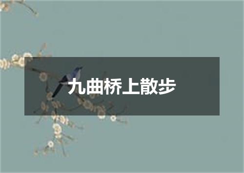 九曲桥上散步