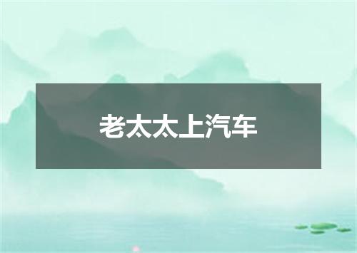 老太太上汽车