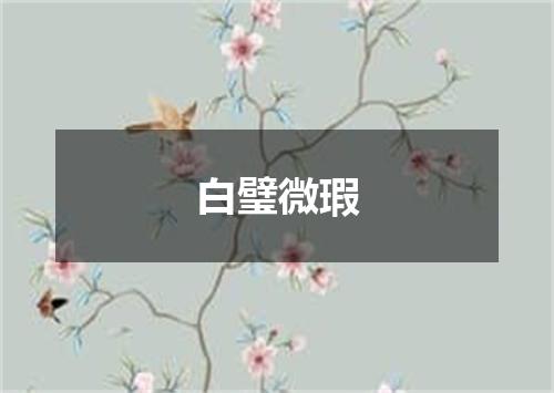 白璧微瑕