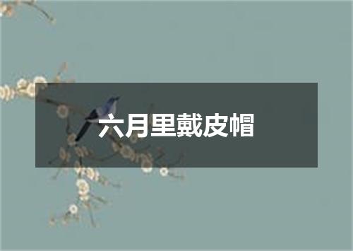 六月里戴皮帽