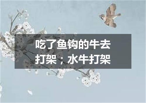吃了鱼钩的牛去打架；水牛打架