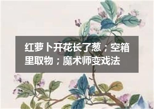 红萝卜开花长了葱；空箱里取物；魔术师变戏法