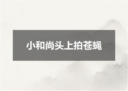 小和尚头上拍苍蝇