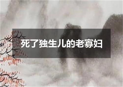 死了独生儿的老寡妇