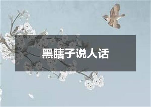 黑瞎子说人话