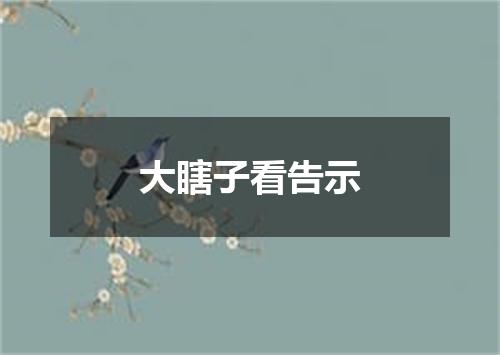 大瞎子看告示