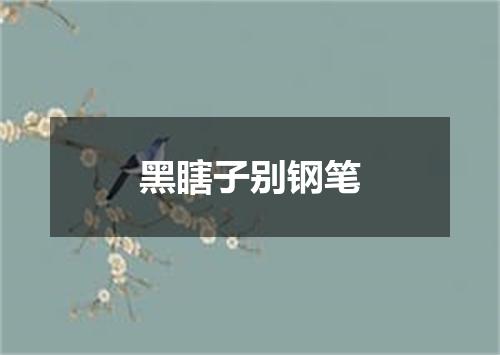 黑瞎子别钢笔