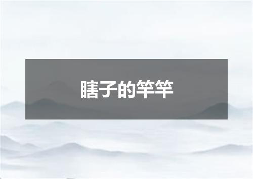 瞎子的竿竿
