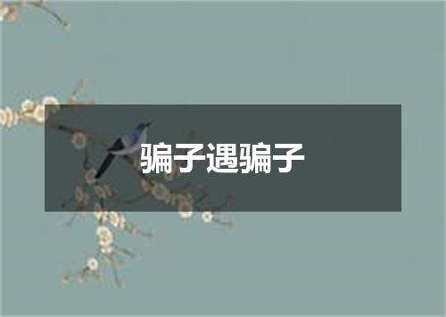 骗子遇骗子