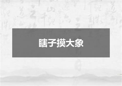 瞎子摸大象
