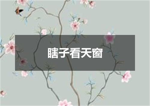 瞎子看天窗