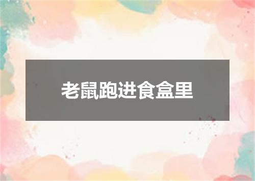 老鼠跑进食盒里