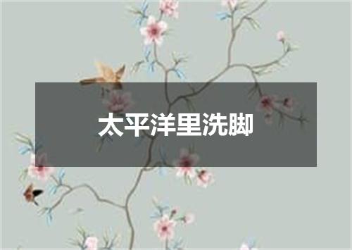 太平洋里洗脚
