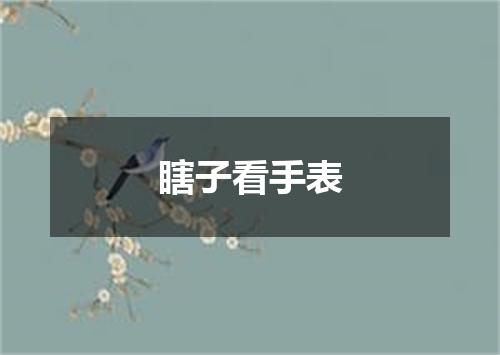 瞎子看手表