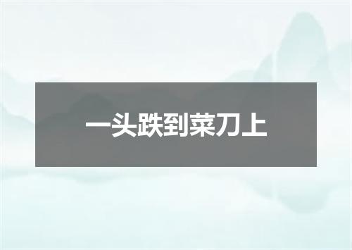 一头跌到菜刀上