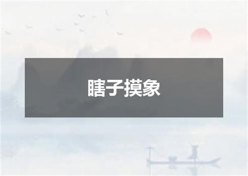 瞎子摸象